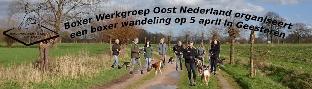 Boxerwandeling 5 april 2025